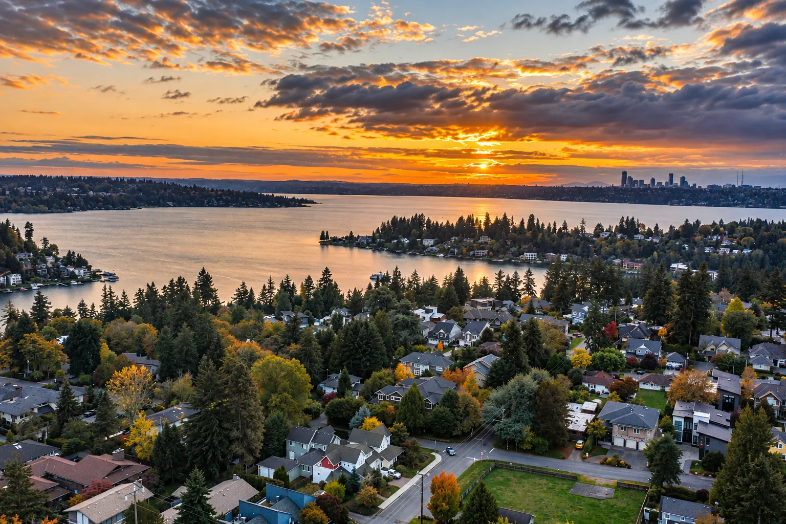 bellevue airbnb management