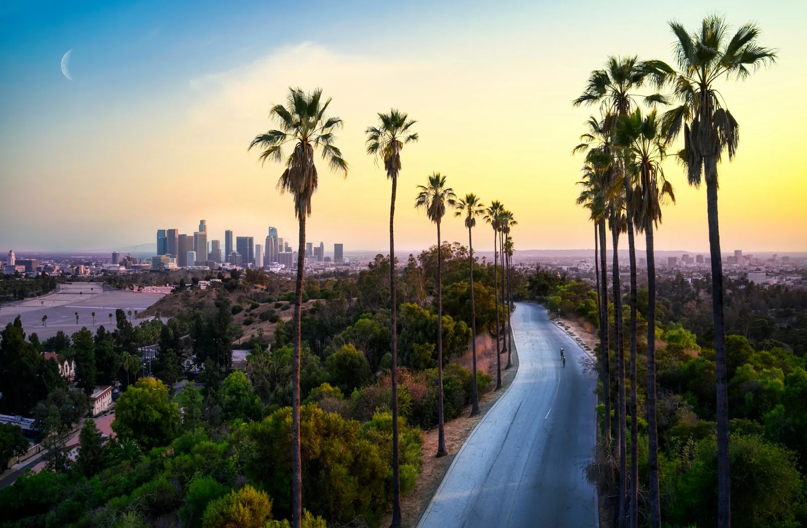 Palm trees and the Los Angeles skyline